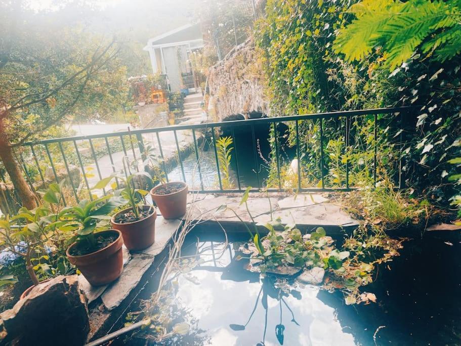 Saumane Gite Et Jardin En Bord De Riviere מראה חיצוני תמונה