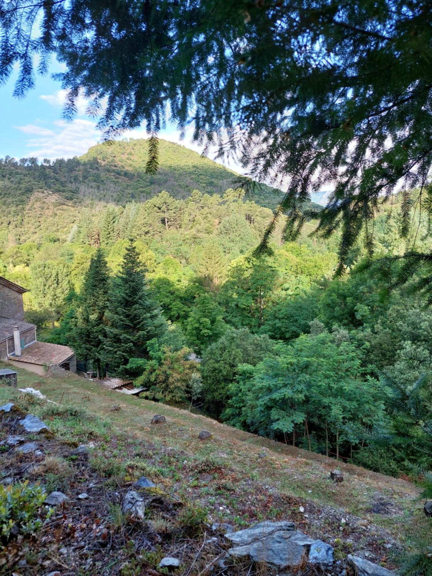 Saumane Gite Et Jardin En Bord De Riviere מראה חיצוני תמונה
